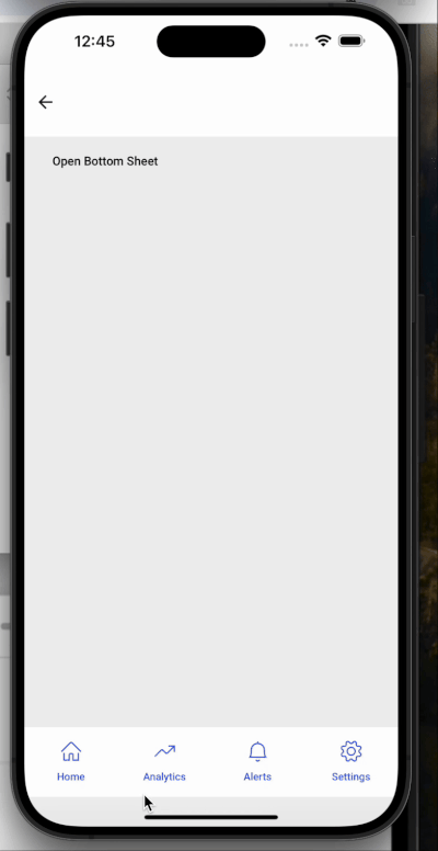 Bottom Sheet Widget